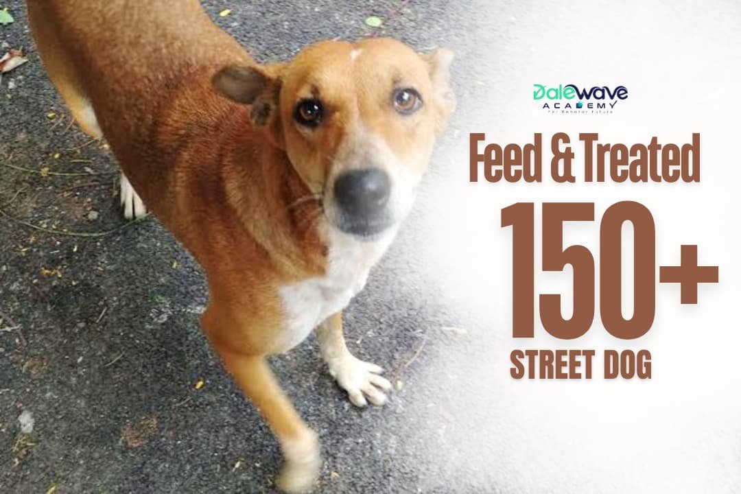 csr card Compassion Drive